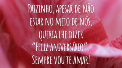 Paizinho, apesar de não estar no meio de nós, queria lhe dizer “Feliz aniversário”. Sempre vou te amar!