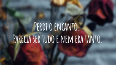Perdi o encanto. Parecia ser tudo e nem era tanto.
