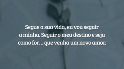 Segue a sua vida, eu vou seguir a minha. Seguir o meu destino e seja como for… que venha um novo amor.