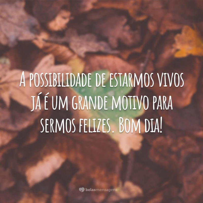 A possibilidade de estarmos vivos já é um grande motivo para sermos felizes. Bom dia!