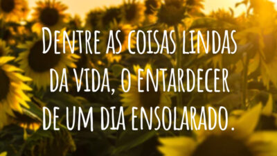 Dentre as coisas lindas da vida, o entardecer de um dia ensolarado.