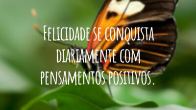Felicidade se conquista diariamente com pensamentos positivos.