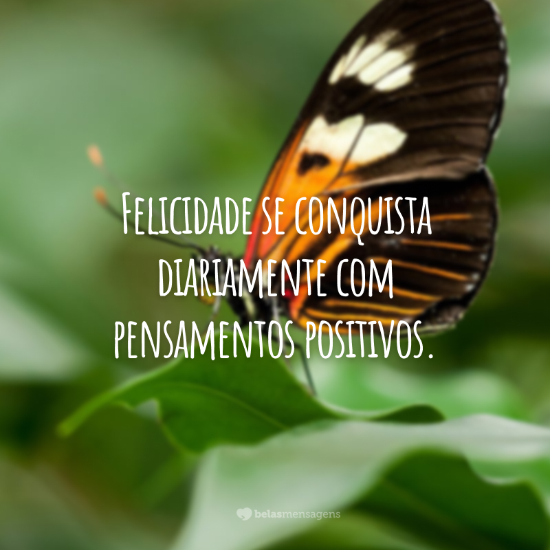 Felicidade se conquista diariamente com pensamentos positivos.