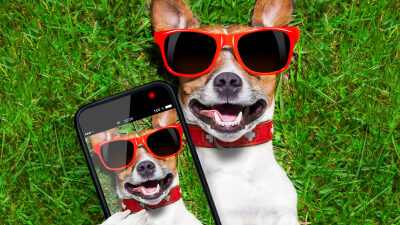 50 frases legais para fotos para brilhar ainda mais suas postagens