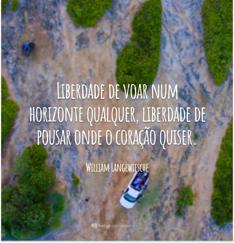 Liberdade de voar num horizonte qualquer, liberdade de pousar onde o coração quiser.