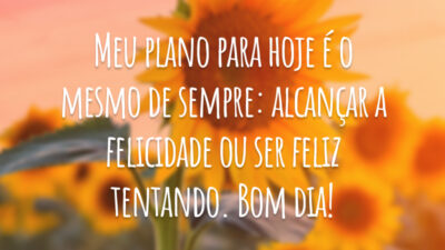 Meu plano para hoje é o mesmo de sempre: alcançar a felicidade ou ser feliz tentando. Bom dia!