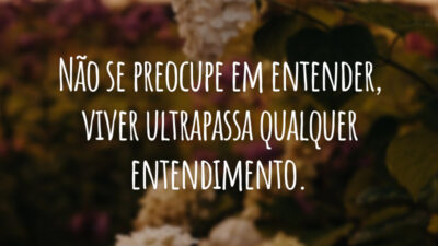 Não se preocupe em entender, viver ultrapassa qualquer entendimento.