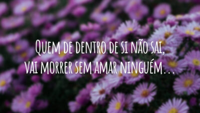 Quem de dentro de si não sai, vai morrer sem amar ninguém...