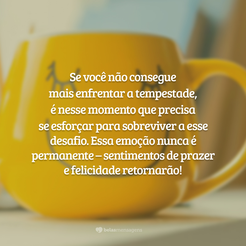 Se você não consegue mais enfrentar a tempestade, é nesse momento que precisa se esforçar para sobreviver a esse desafio. Essa emoção nunca é permanente – sentimentos de prazer e felicidade retornarão!