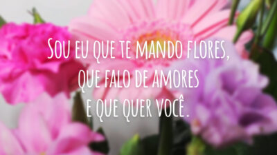 Sou eu que te mando flores, que falo de amores e que quer você.