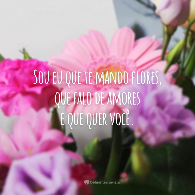 Sou eu que te mando flores, que falo de amores e que quer você.