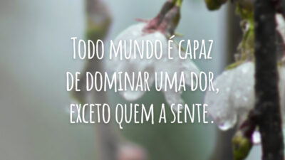 Todo mundo é capaz de dominar uma dor, exceto quem a sente.