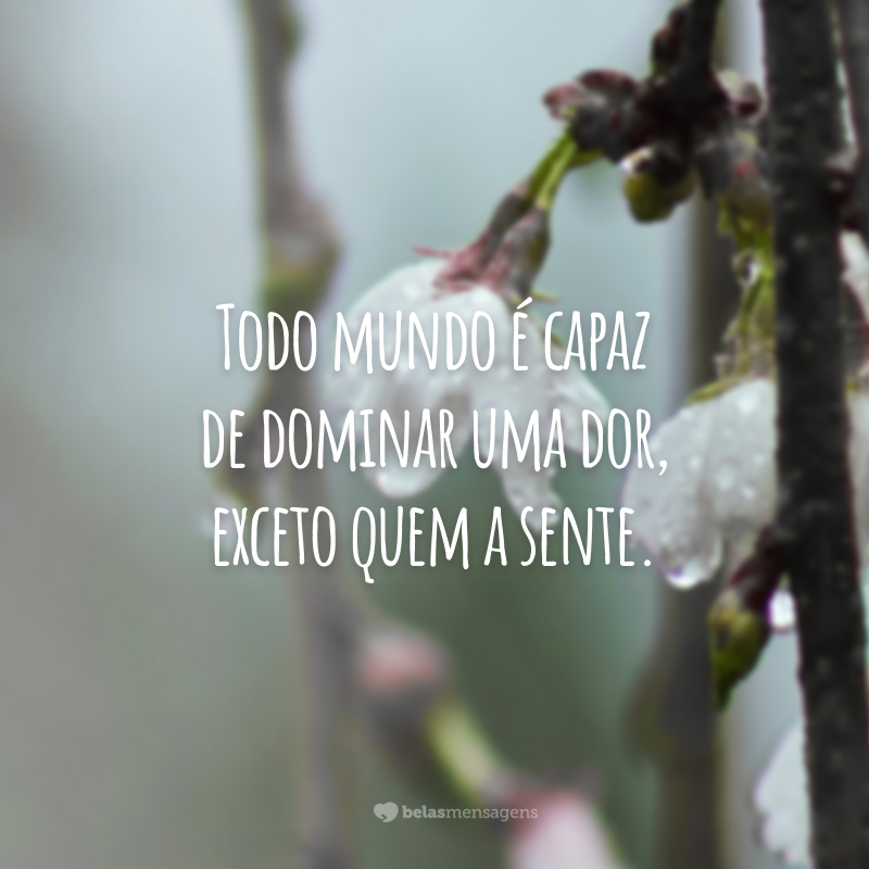 Todo mundo é capaz de dominar uma dor, exceto quem a sente.