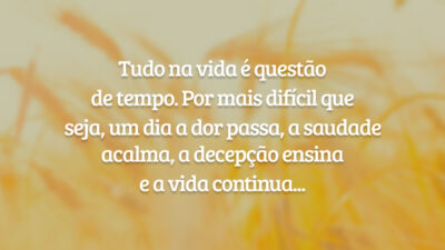Tudo na vida é questão de tempo. Por mais difícil que seja, um dia a dor passa, a saudade acalma, a decepção ensina e a vida continua...