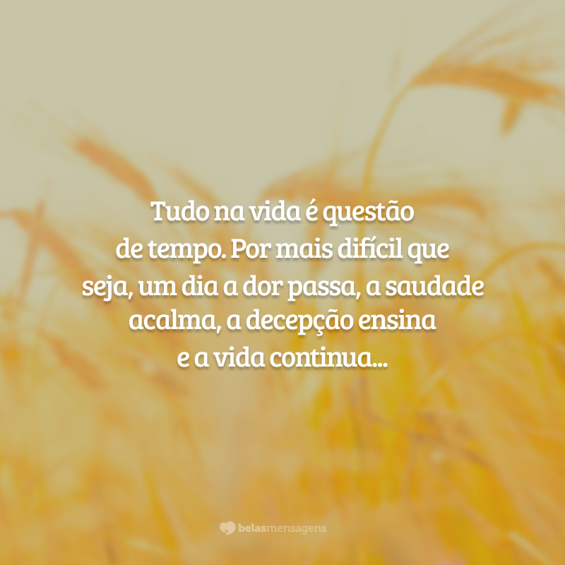 Tudo na vida é questão de tempo. Por mais difícil que seja, um dia a dor passa, a saudade acalma, a decepção ensina e a vida continua...