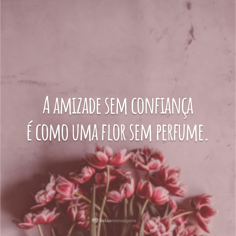 A amizade sem confiança é como uma flor sem perfume.