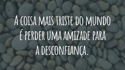 A coisa mais triste do mundo é perder uma amizade para a desconfiança.