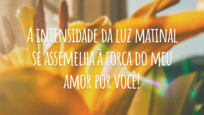 A intensidade da luz matinal se assemelha à força do meu amor por você!