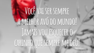 Você vai ser sempre a melhor avó do mundo! Jamais vou esquecer o carinho que sempre me deu!