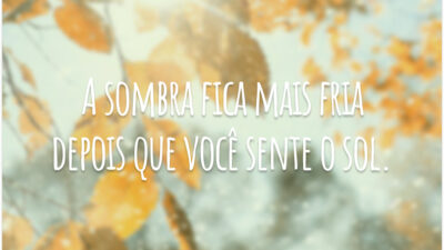A sombra fica mais fria depois que você sente o sol.