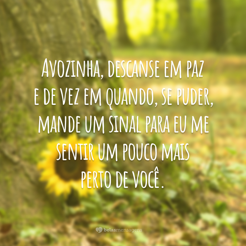 Avozinha, descanse em paz e de vez em quando, se puder, mande um sinal para eu me sentir um pouco mais perto de você.