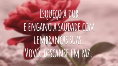 Esqueço a dor e engano a saudade com lembranças suas. Vovó, descanse em paz.