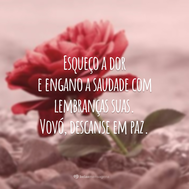 Esqueço a dor e engano a saudade com lembranças suas. Vovó, descanse em paz.