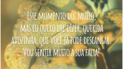 Este momento dói muito, mas eu quero lhe dizer, querida avozinha, que você já pode descansar. Vou sentir muito a sua falta!