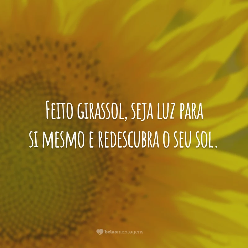 Featured image of post Frases De Girassol Para Foto Sozinha N o toa que dizem que refletir um dos principais caminhos para a felicidade