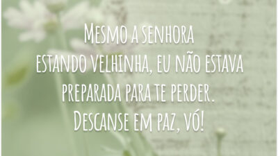 Mesmo a senhora estando velhinha, eu não estava preparada para te perder. Descanse em paz, vó!