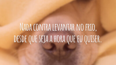 Nada contra levantar no frio, desde que seja a hora que eu quiser.