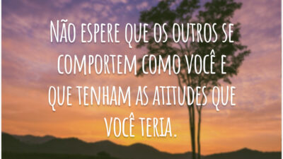 Não espere que os outros se comportem como você e que tenham as atitudes que você teria.