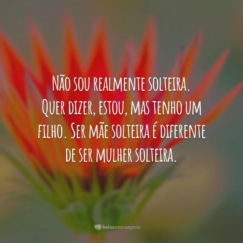 Não sou realmente solteira. Quer dizer, estou, mas tenho um filho. Ser mãe solteira é diferente de ser mulher solteira.