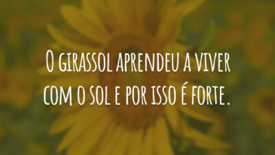 O girassol aprendeu a viver com o sol e por isso é forte.