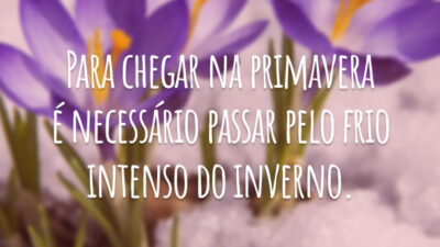 Para chegar na primavera é necessário passar pelo frio intenso do inverno.