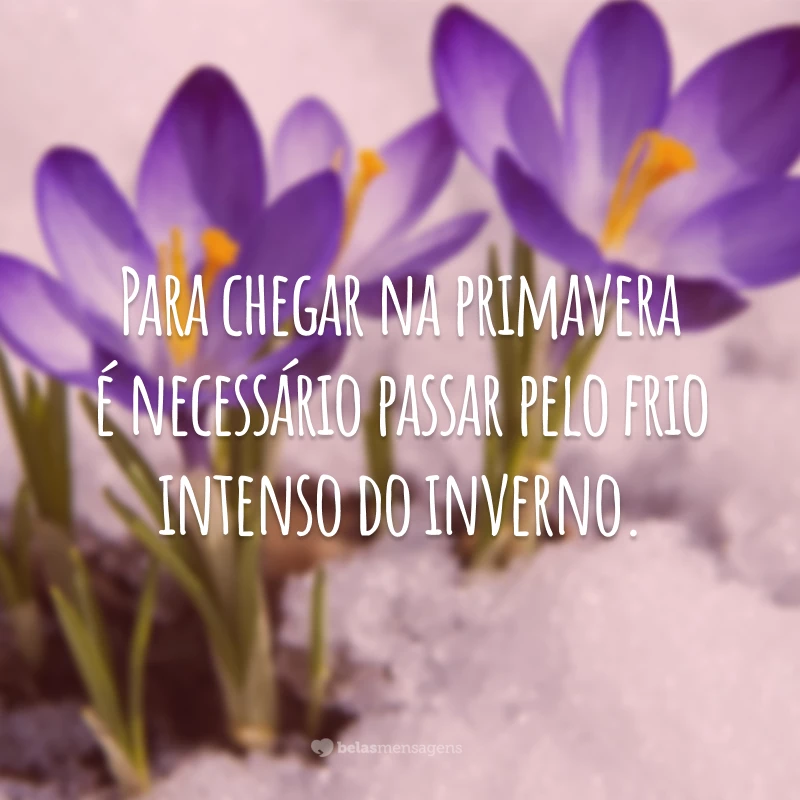 Para chegar na primavera é necessário passar pelo frio intenso do inverno.