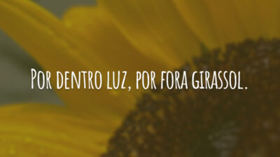 Por dentro luz, por fora girassol.