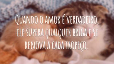 Quando o amor é verdadeiro, ele supera qualquer briga e se renova a cada tropeço.