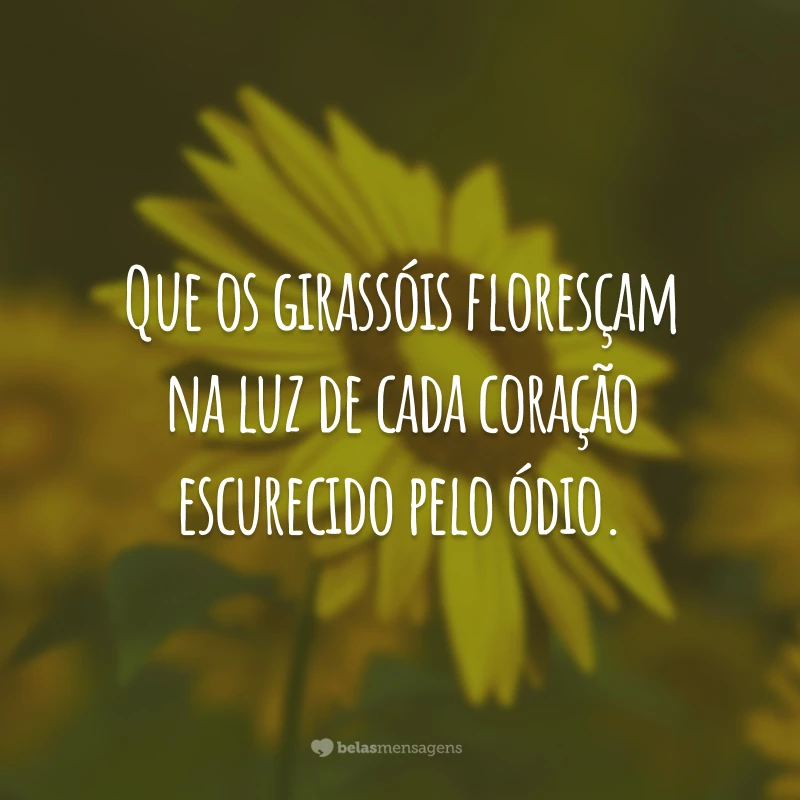 Que os girassóis floresçam na luz de cada coração escurecido pelo ódio.