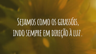Sejamos como os girassóis. Indo sempre em direção à luz.