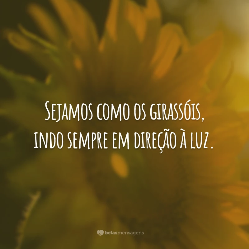 Sejamos como os girassóis. Indo sempre em direção à luz.