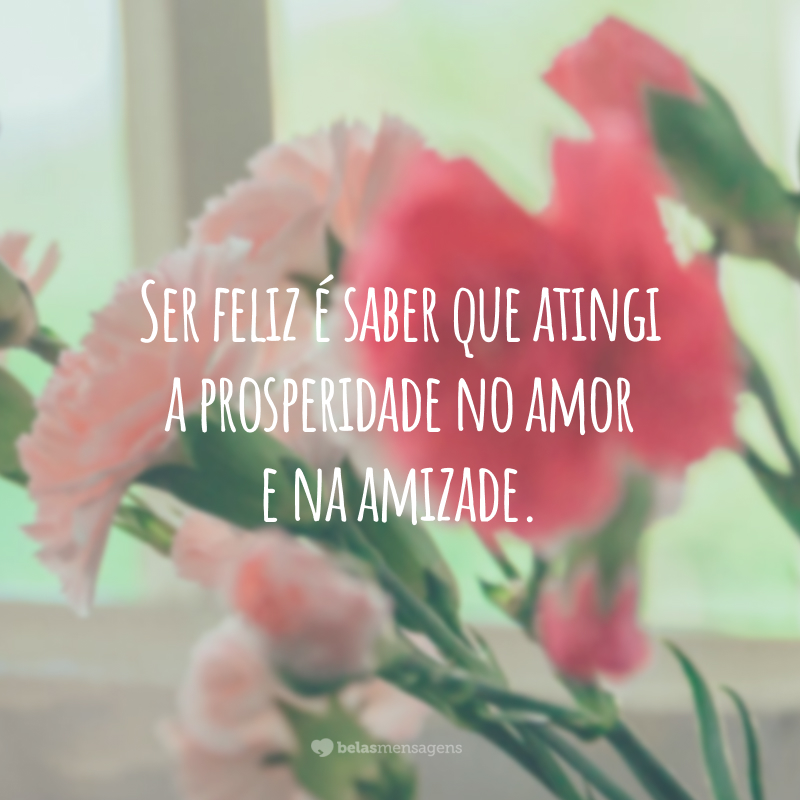 Ser feliz é saber que atingi a prosperidade no amor e na amizade.