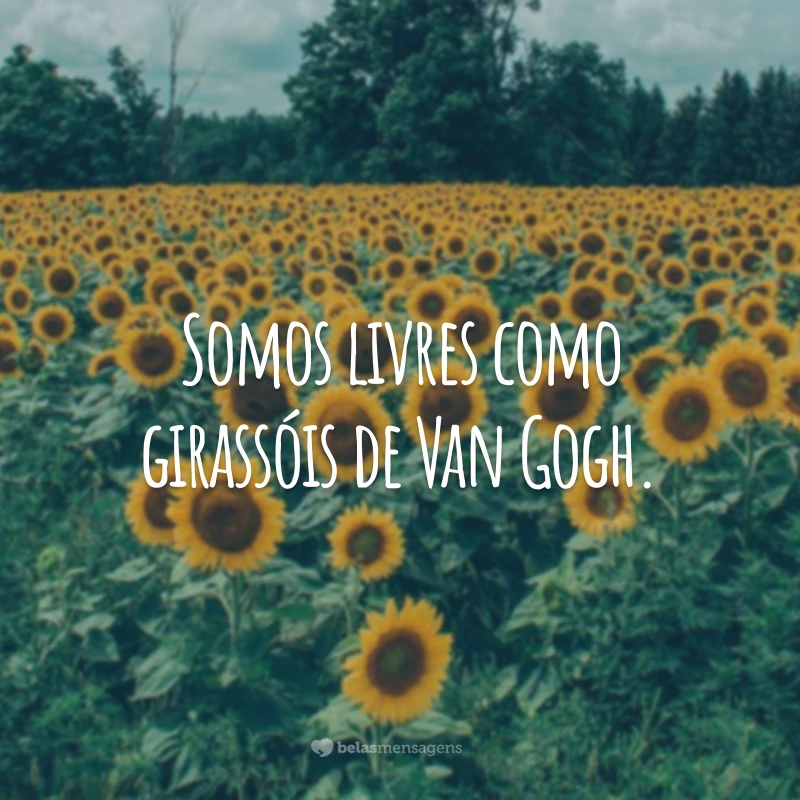 Somos livres como girassóis de Van Gogh.