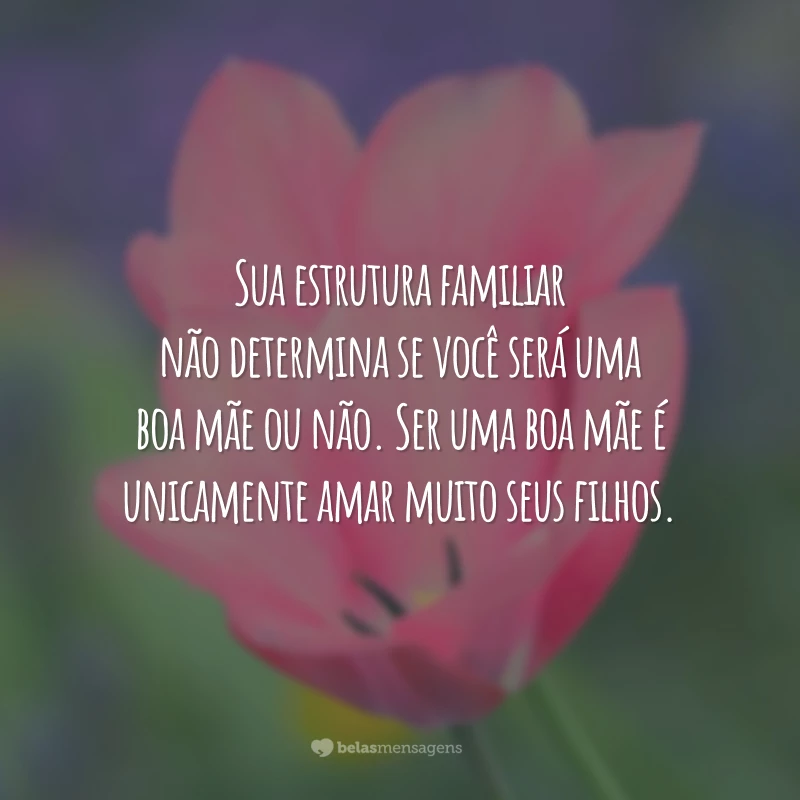 Sua estrutura familiar não determina se você será uma boa mãe ou não. Ser uma boa mãe é unicamente amar muito seus filhos.