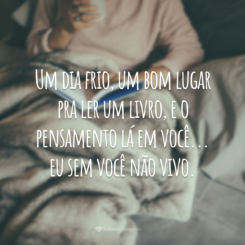 Um dia frio, um bom lugar pra ler um livro, e o pensamento lá em você... eu sem você não vivo.