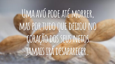 Uma avó pode até morrer, mas por tudo que deixou no coração dos seus netos jamais irá desaparecer.