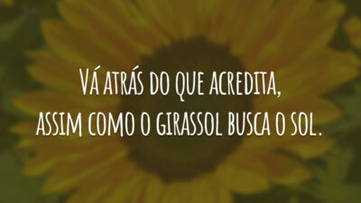 Vá atrás do que acredita, assim como o girassol busca o sol.