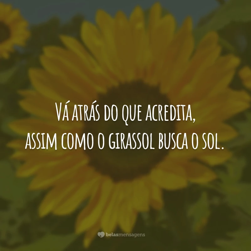 Featured image of post Frases Sobre Girassol Voc meu sol um metro e sessenta e cinco de sol