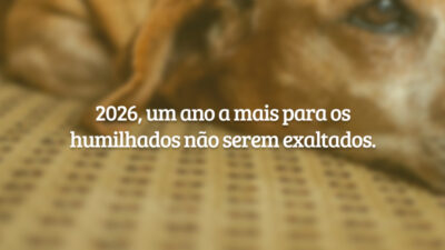 2026, um ano a mais para os humilhados não serem exaltados.