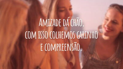 Amizade dá chão, com isso colhemos carinho e compreensão.